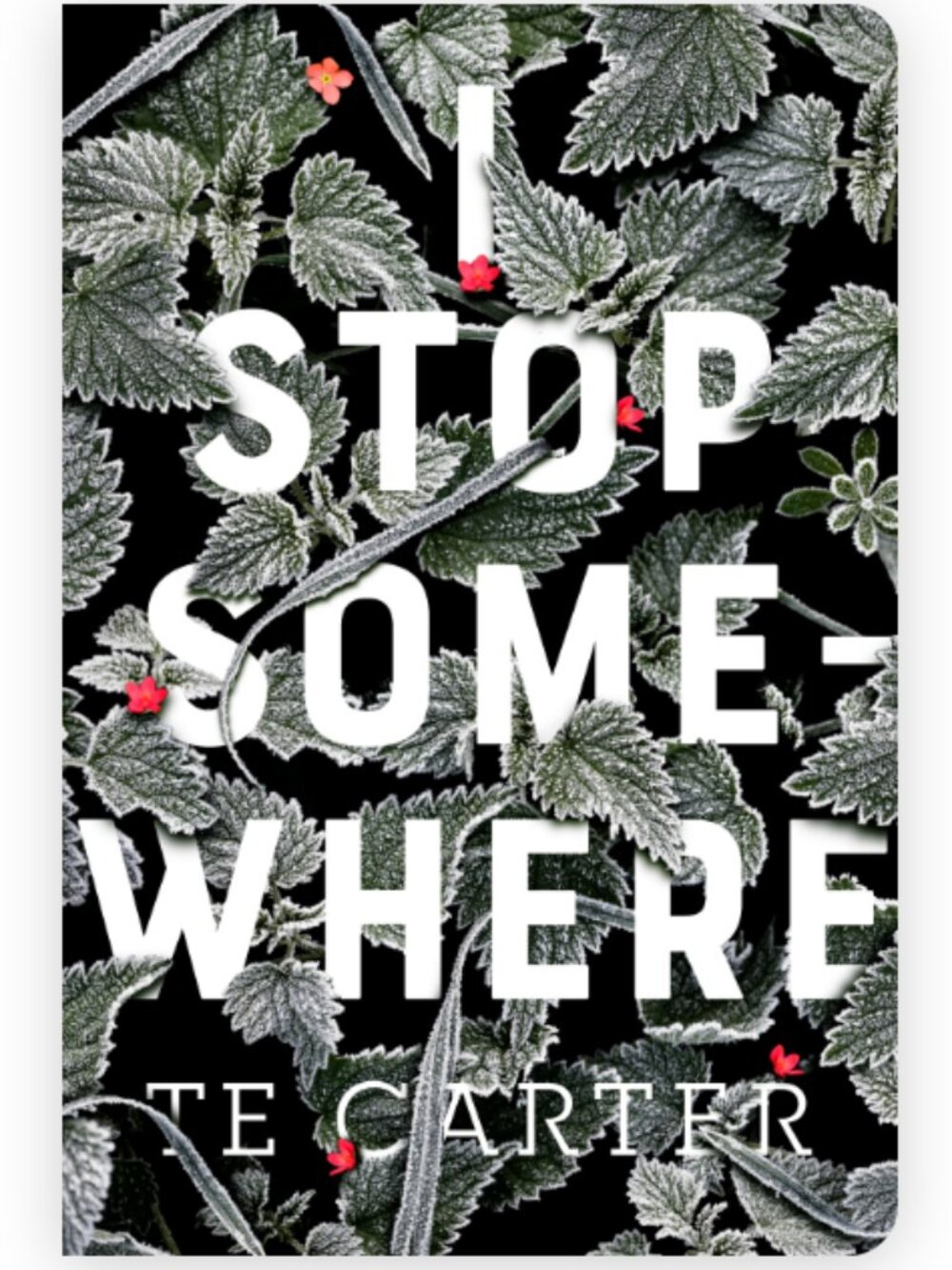 2/$10 I Stop Somewhere by T.E. Carter